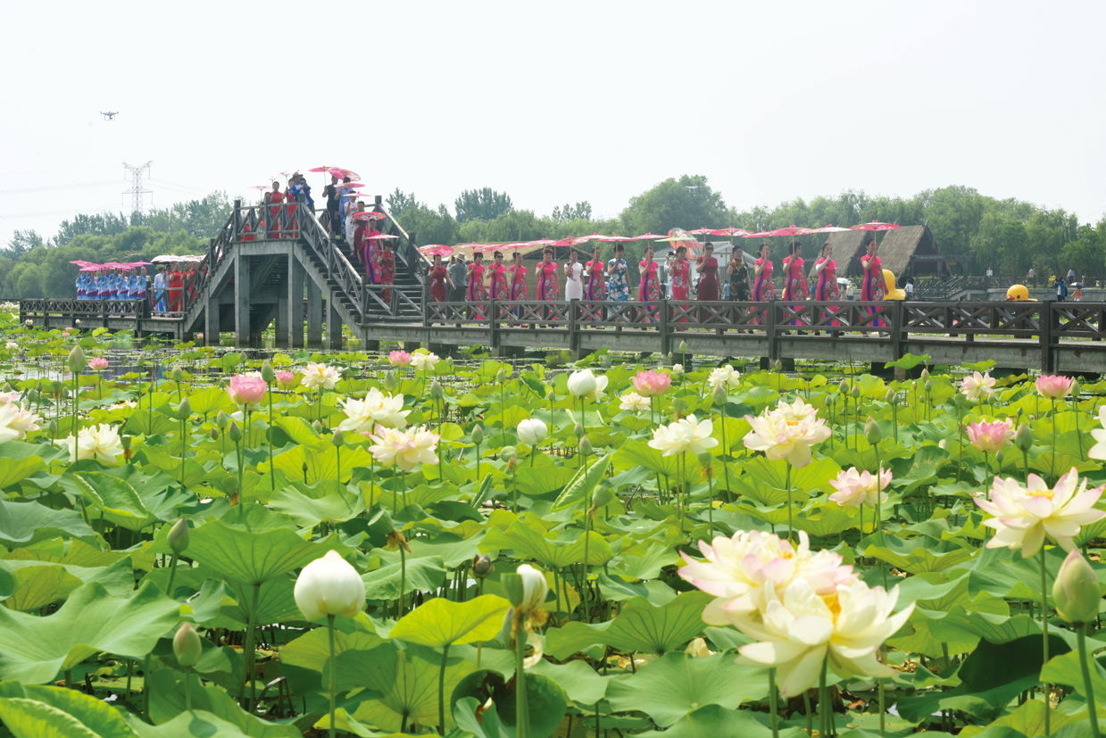 生活万象 淮南生活    6月15日,淮南毛集实验区焦岗湖国家湿地公园