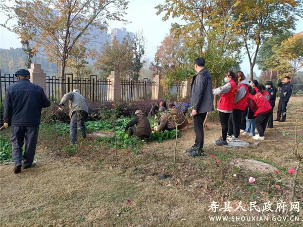 淮南寿县倾力打造靓丽新寿春
