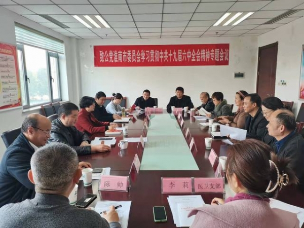 淮南市委会召开学习贯彻中共十九届六中全会精神专题会议