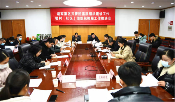 淮南市【谢家集区】谢家集区召开共青团基层组织建设工作暨村（社区）团组织换届工作推进会