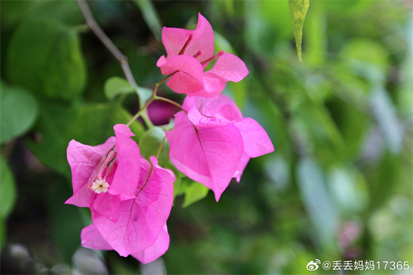 【图说淮南】——空山新雨后，天气晚来秋