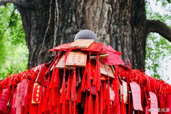 【图说淮南】——报恩禅寺