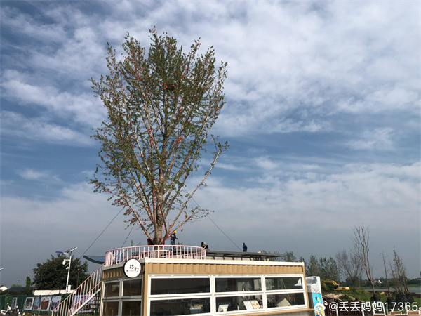 【图说淮南】——微风拂过