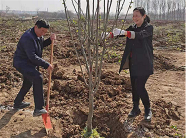 淮南市大通区纪委积极参与义务植树活动