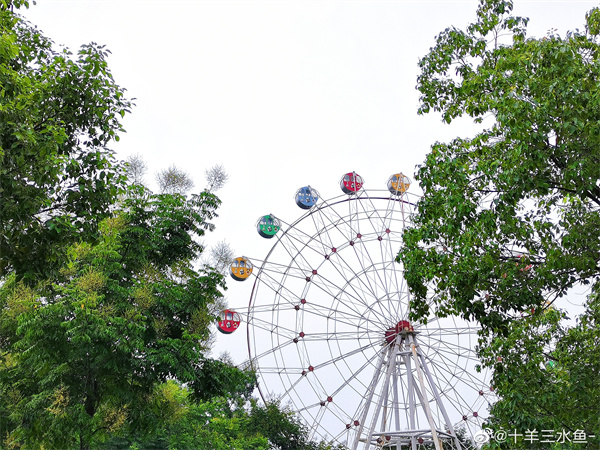 【图说淮南】——秋天的美景