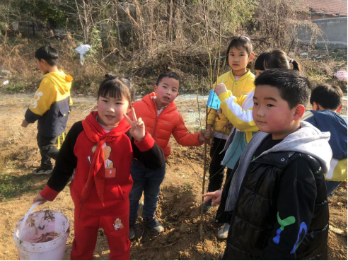 淮师附小十九中校区开展植树活动