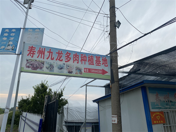 “喜迎二十大 网络名人看淮南”之走进寿县活动