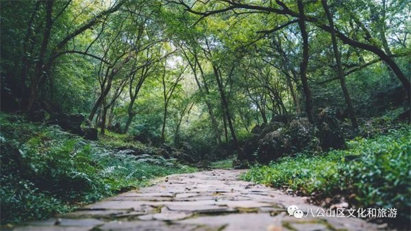 【图说淮南】—— 早春徒步八公山，经典路线推荐（下）