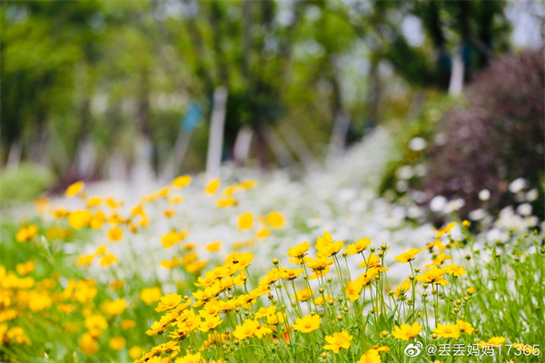 【图说淮南】——夏之味