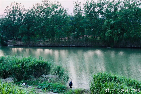 【图说淮南】——夏日景色