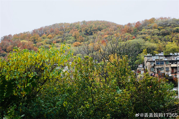 【图说淮南】——走进八公山 