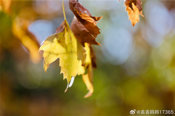 【图说淮南】——阳光暖暖的