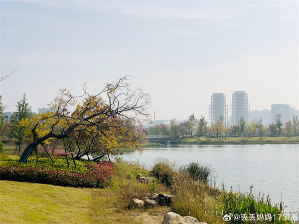 【图说淮南】——秋日阳光  ​​​